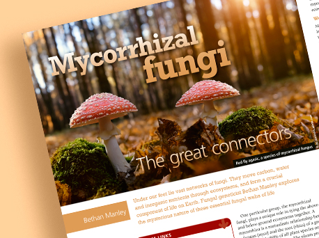 Biological Sciences Review magazine 