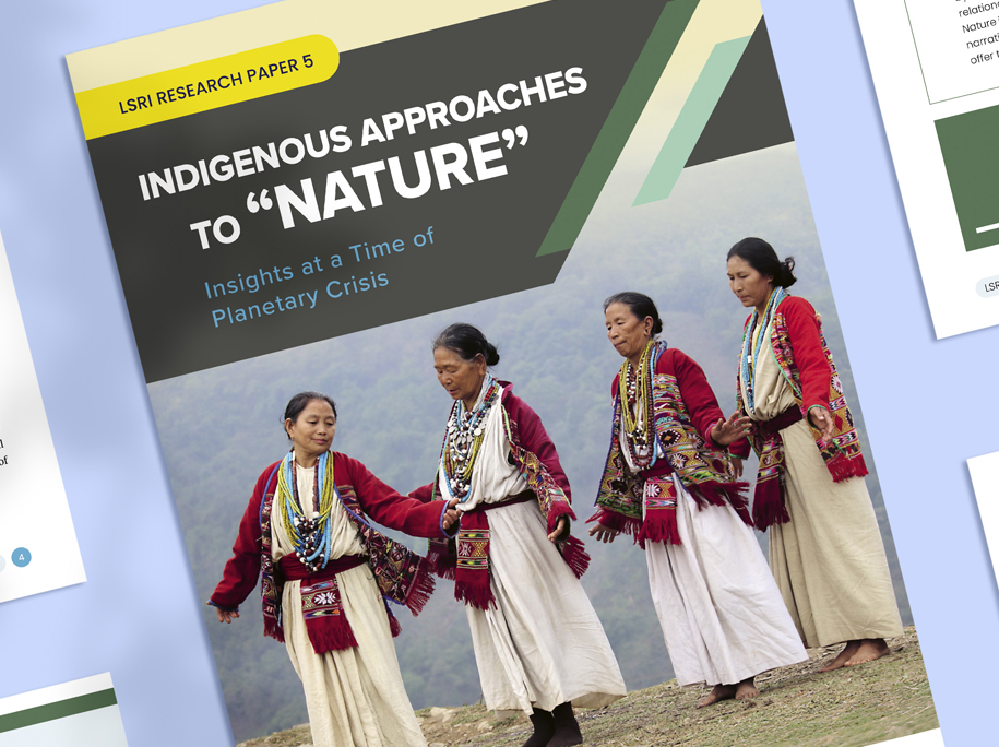 LSRI research paper redesign