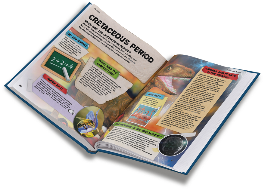 book design sample